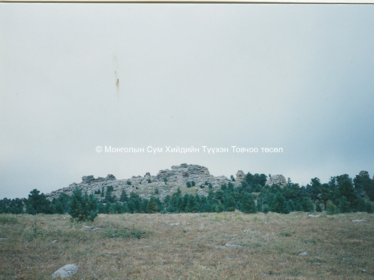 Tsetsee gün peak 2007